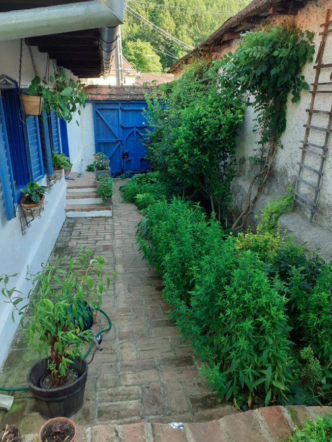Casa Anca Cheile Nerei Sokolar Exterior foto