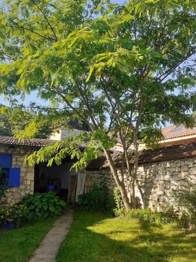 Casa Anca Cheile Nerei Sokolar Exterior foto