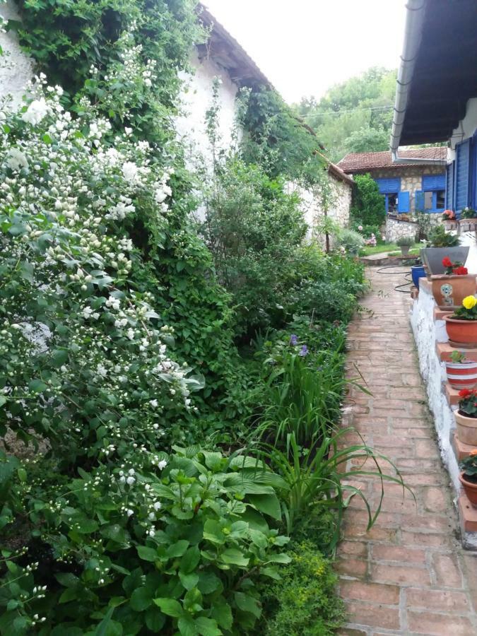 Casa Anca Cheile Nerei Sokolar Exterior foto