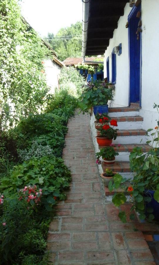 Casa Anca Cheile Nerei Sokolar Exterior foto