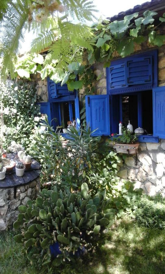 Casa Anca Cheile Nerei Sokolar Exterior foto