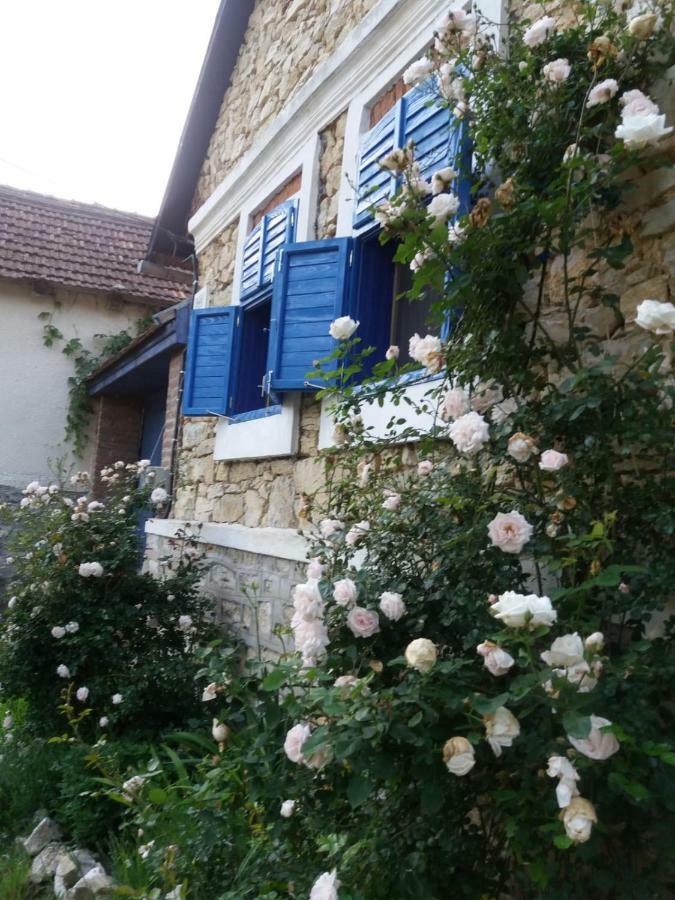 Casa Anca Cheile Nerei Sokolar Exterior foto
