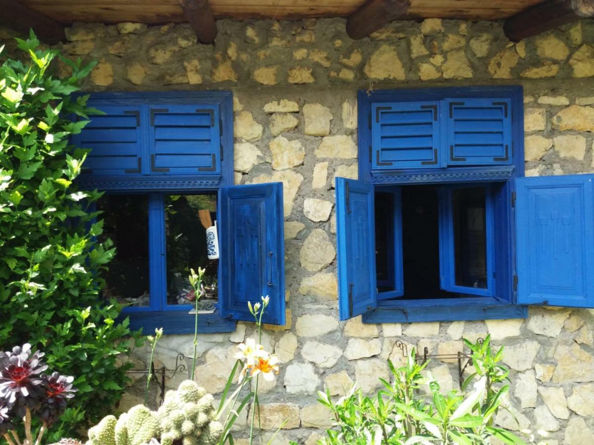 Casa Anca Cheile Nerei Sokolar Exterior foto